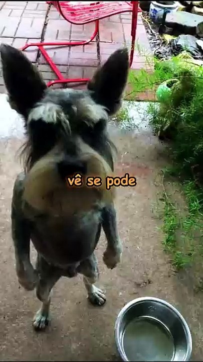 VAZOU O DIÁRIO SECRETO DO DR. FAUCI! 😱 (Fugiu do Senado)