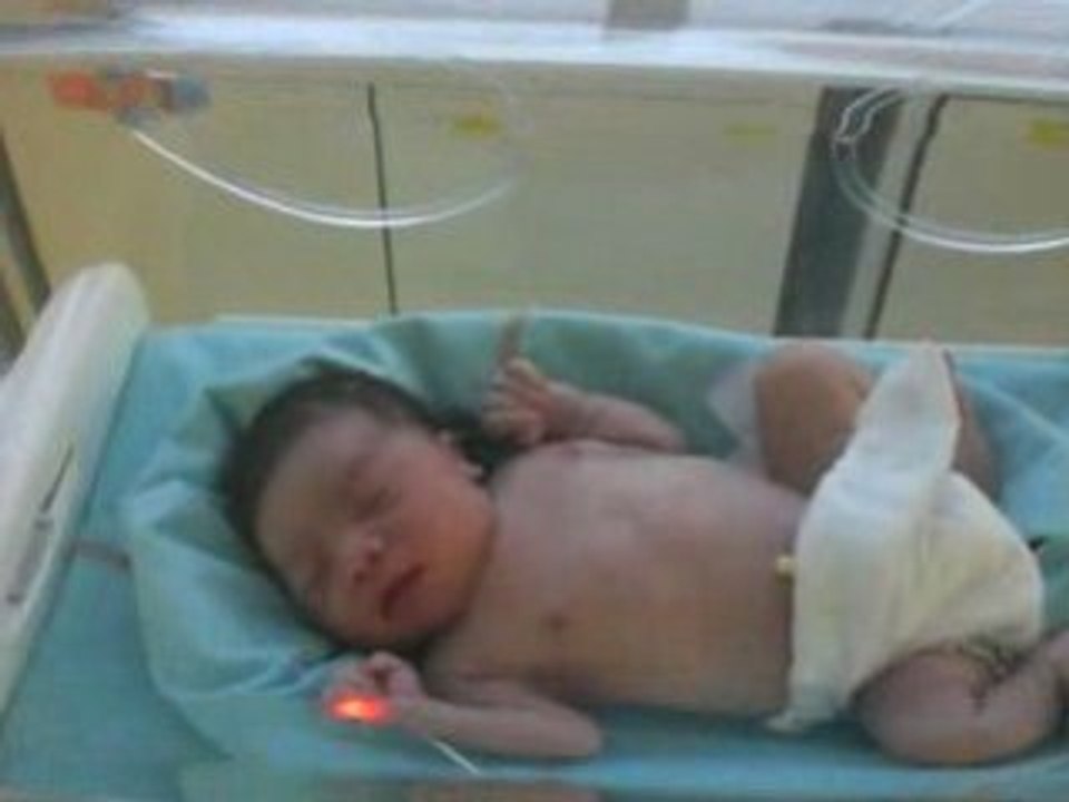 les premieres minutes  de raphael