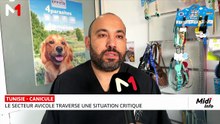 JT Midi 07/08/2026