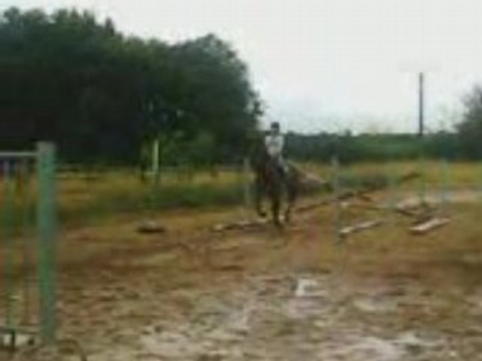 nosirus