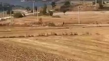 İnegöl'de tarlalık alanı ateşe verip kaçtı!