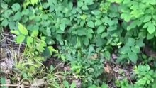 He Went Fishing... Then This Tiny Kitten Changed Everything