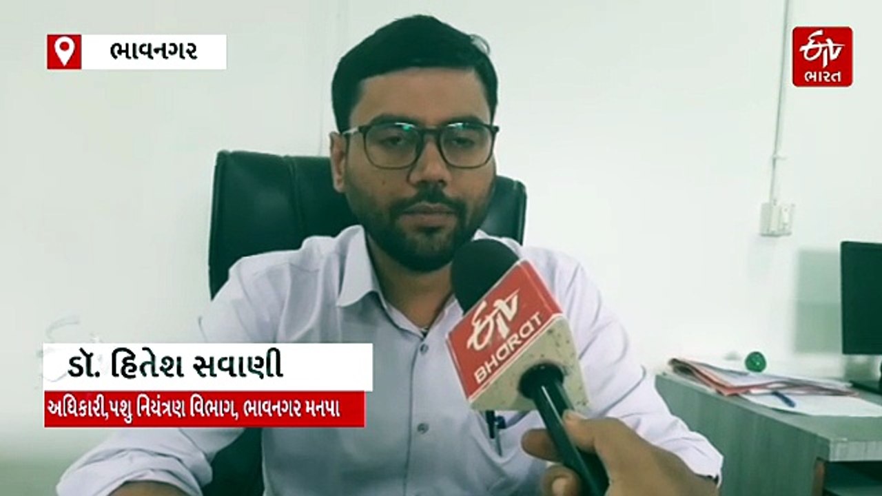 ભાવનગર મનપાનો કડક નિર્ણય: નોંધણી વગરના પશુ હંમે...