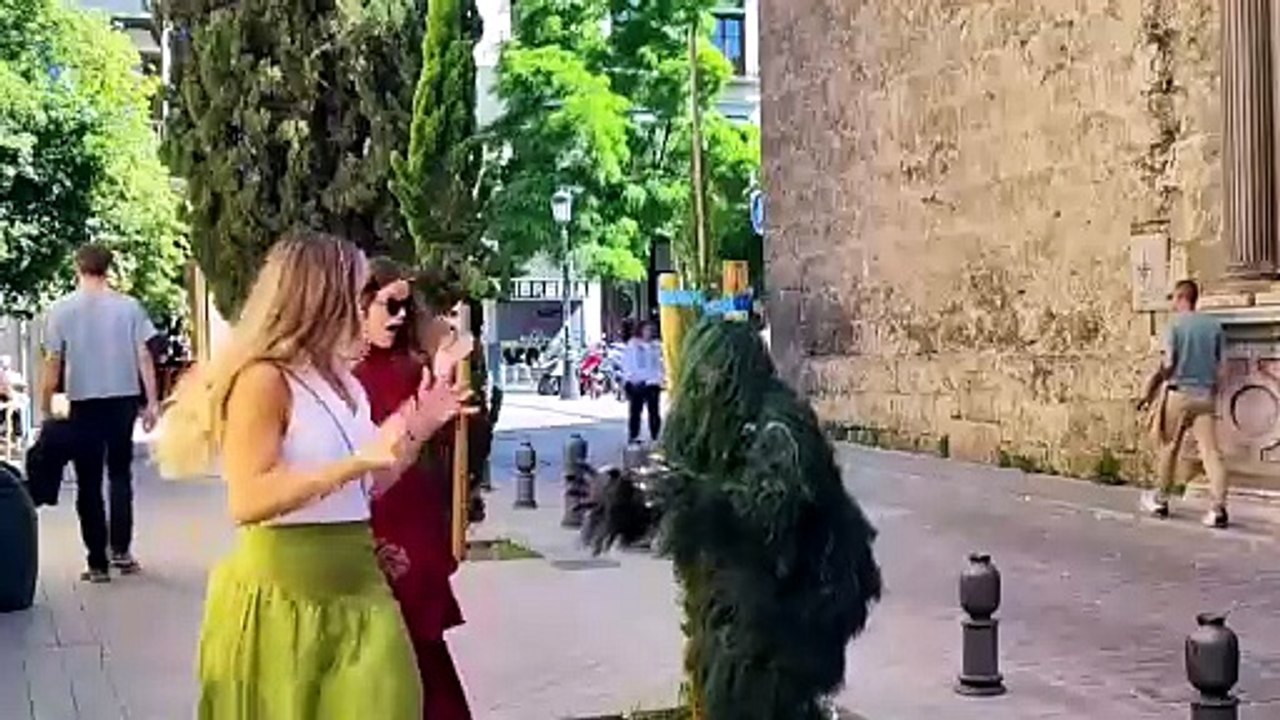 Incredible prank disguised as a bush on the str...