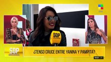 ¿Pampita cobró para ir a PH?