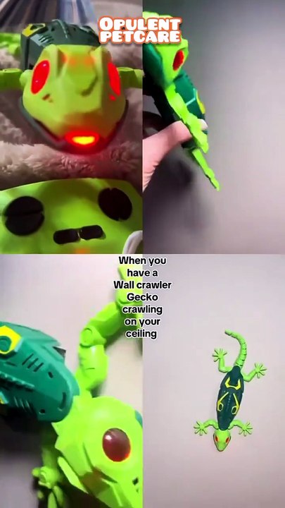 Electric RC Climbing Wall Lizard – Remote Control Gecko Toy for Kids & Pets