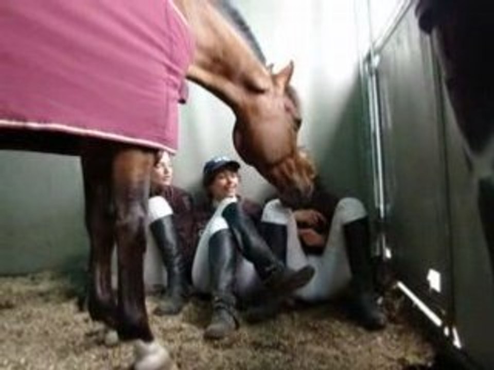 Championnat de France 2008