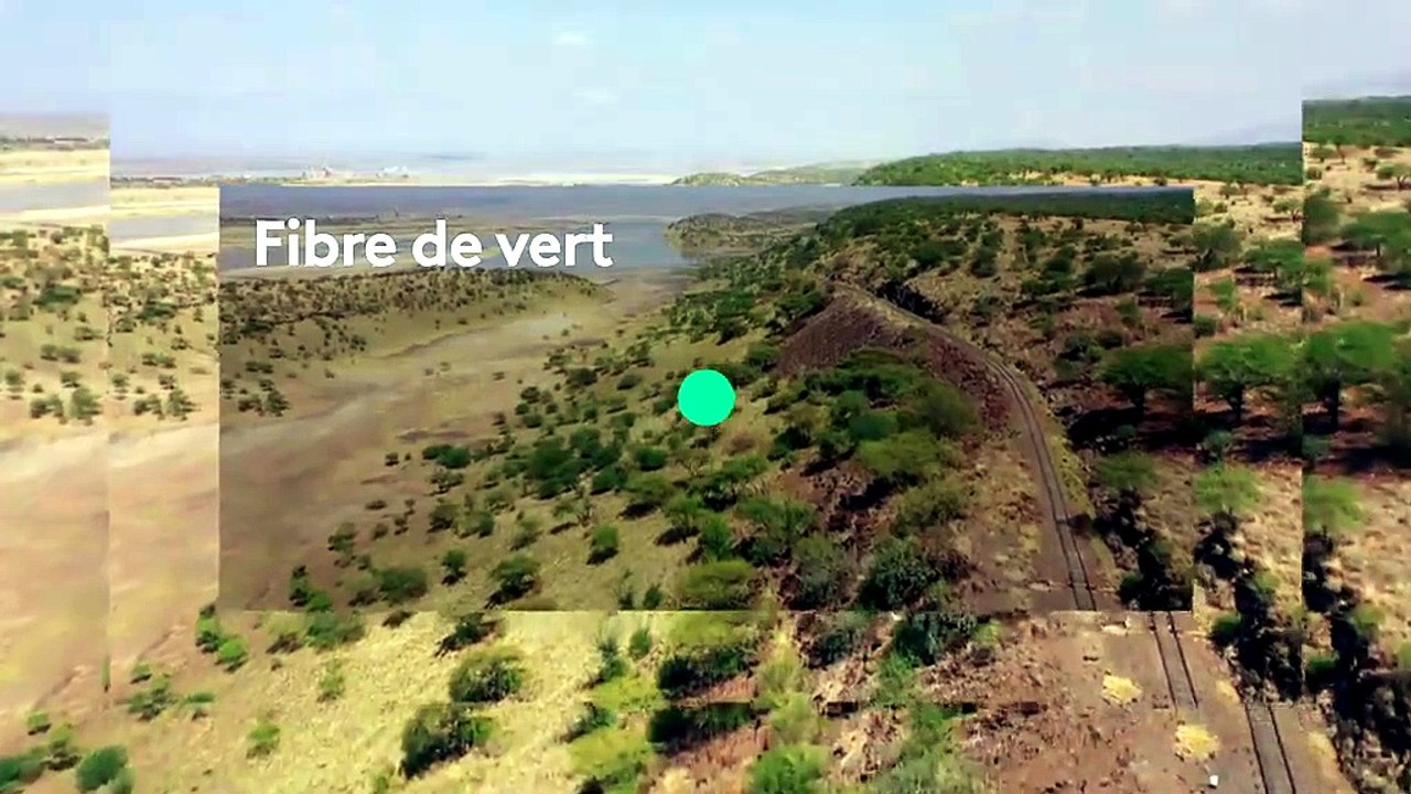 Des trains pas comme les autres
