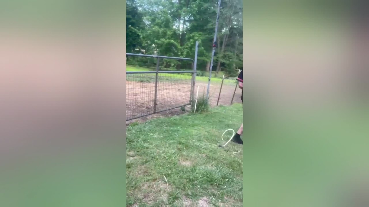 Dad Runs for His Life After Fake Snake Prank in Horse Yard