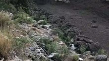 Black flood