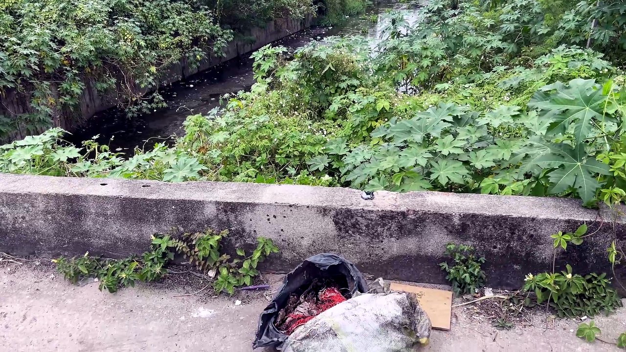 Corpos esquartejados são encontrados dentro de sacolas em riacho na Francisco Sá