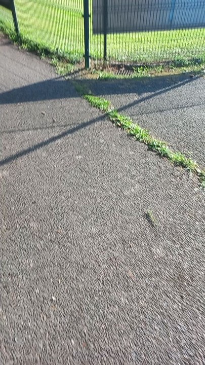 SVP DONNEZ MOI TOUTE VOS RÉPONSE JE VOUS EN SUPPLIE