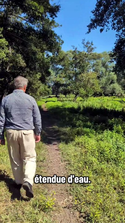 La tourbière du marais Vernier est menacée
