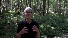 Woodland campaigners continue fight against Maidstone quarry expansion