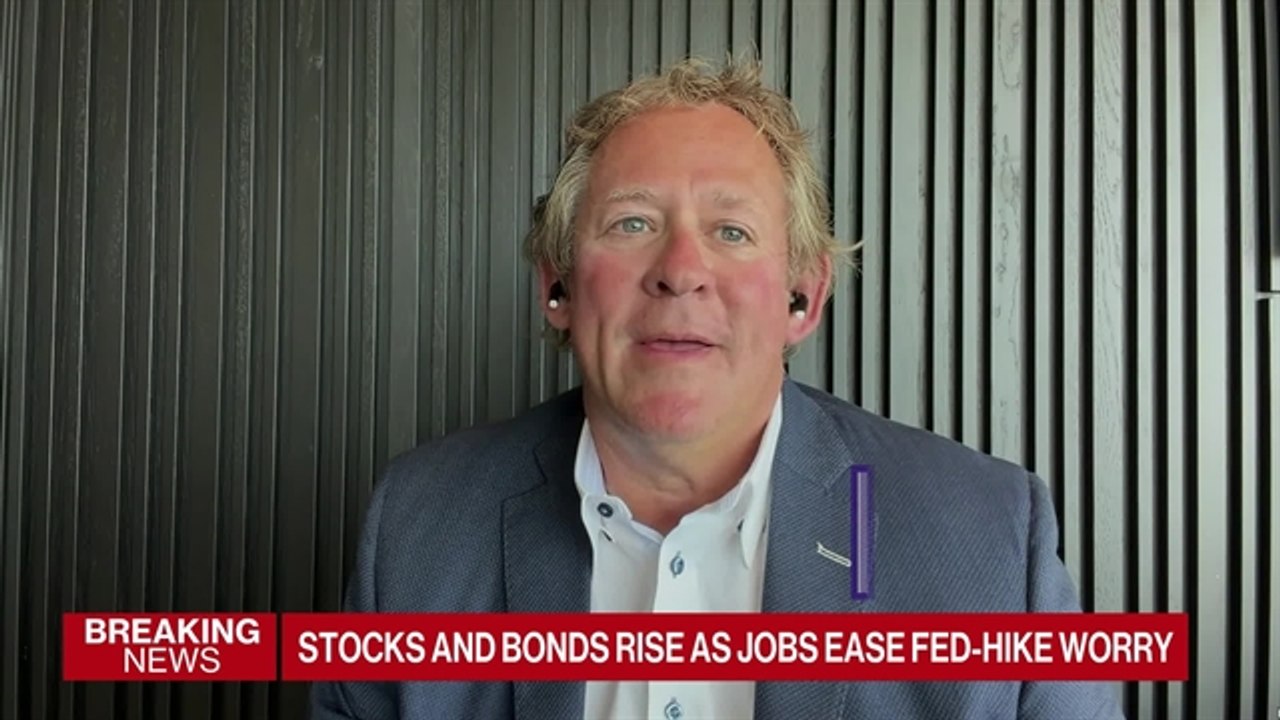 BlackRock's Rick Rieder Sees Rate Hike Unlikely