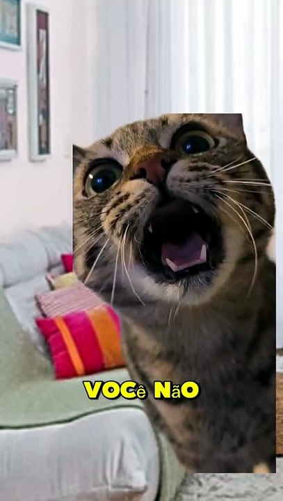 Ta vendo ai