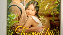 Trapped by the CEO's Secrets | Komplette Serie | Short Drama Deutsch
