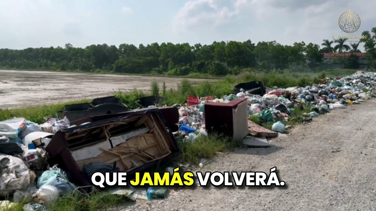 El Crimen de Esperar el Momento Ideal 🏛️