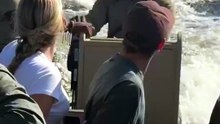 Momentos de gran tensión vivieron varios turistas en Botsuana cuando un hipopótamo persiguió agresivamente su embarcación