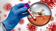 Infecciones respiratorias lideran enfermedades en Jalisco | CPS Noticias Puerto Vallarta