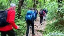 Video News - Fine settimana di grande esodo