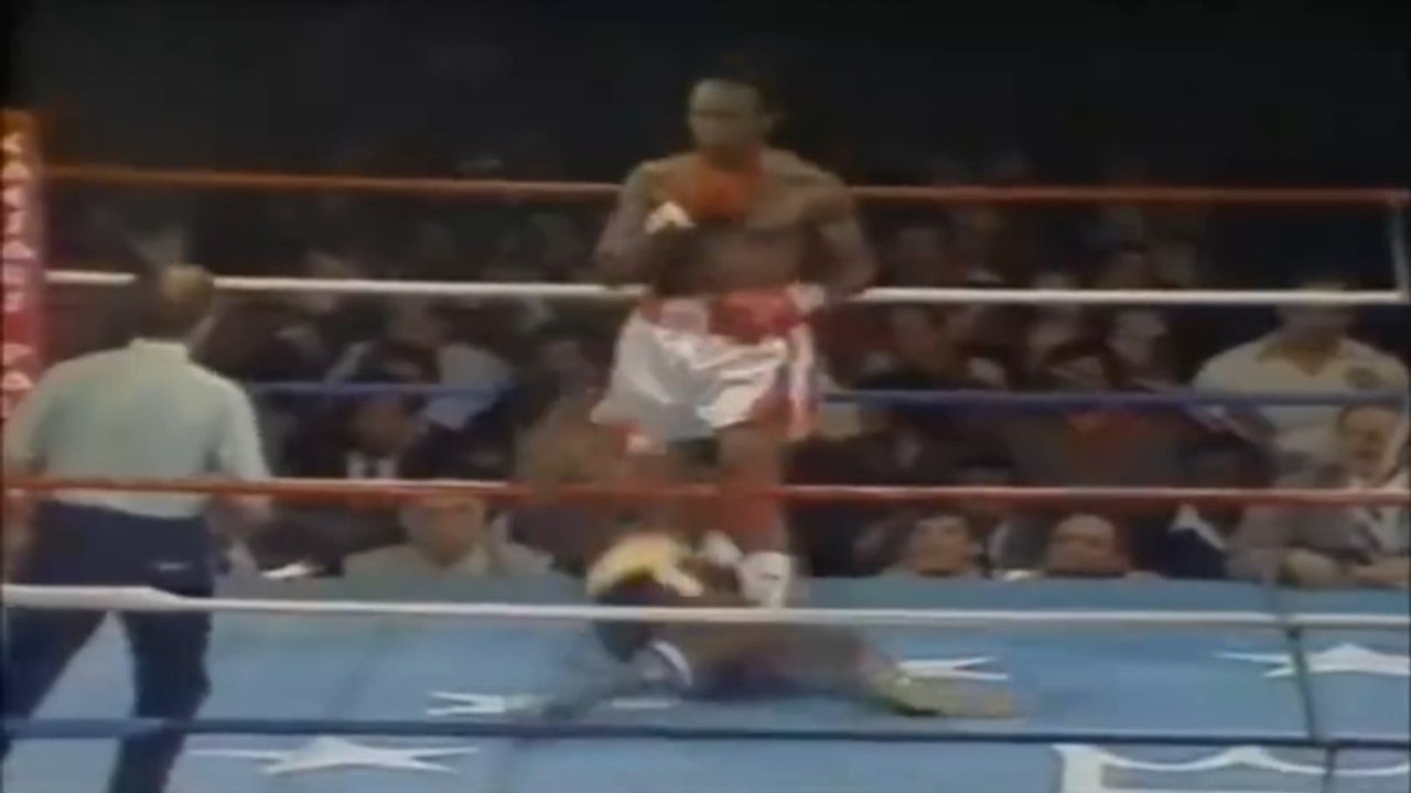 Michael Dokes - Highlights & Knockouts (haNZAgod)