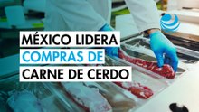 México ya es el primer importador de carne de cerdo en el mundo