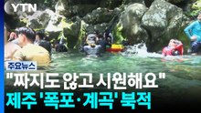 "짜지도 않고 시원해요"...제주 '폭포·계곡' 북적 / YTN