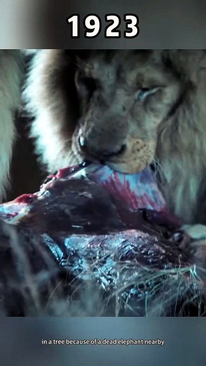 Spencer Fought an Entire Pride of Lions to Protect Alex. ｜ 1923