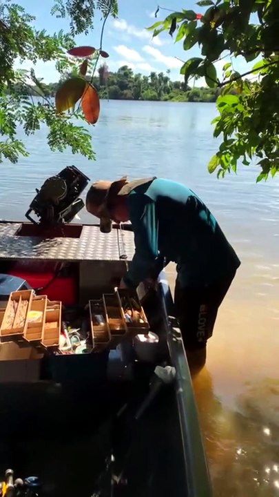 Fisguei uma arvore #rio Jamari # Tucunaré