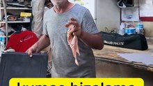 23 Kumaş Renk Seçimi Çok Önemli Döşeme Fabrika Döşemeyle Aynı Renkte Olmalı SunRoof Cam Tavan Tel 🢃
