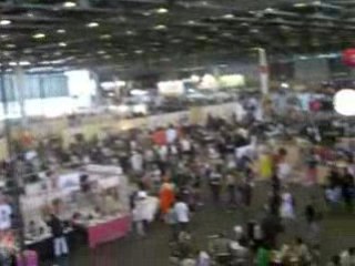 vue sur la japan expo 2008 1