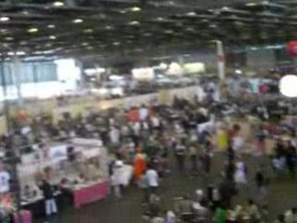 vue sur la japan expo 2008 1