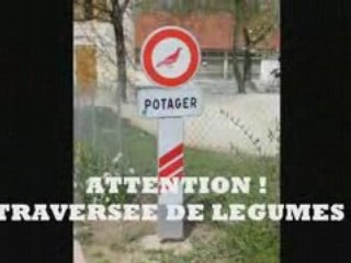 CODE DE LA ROUTE (tomber dans le panneau 2)