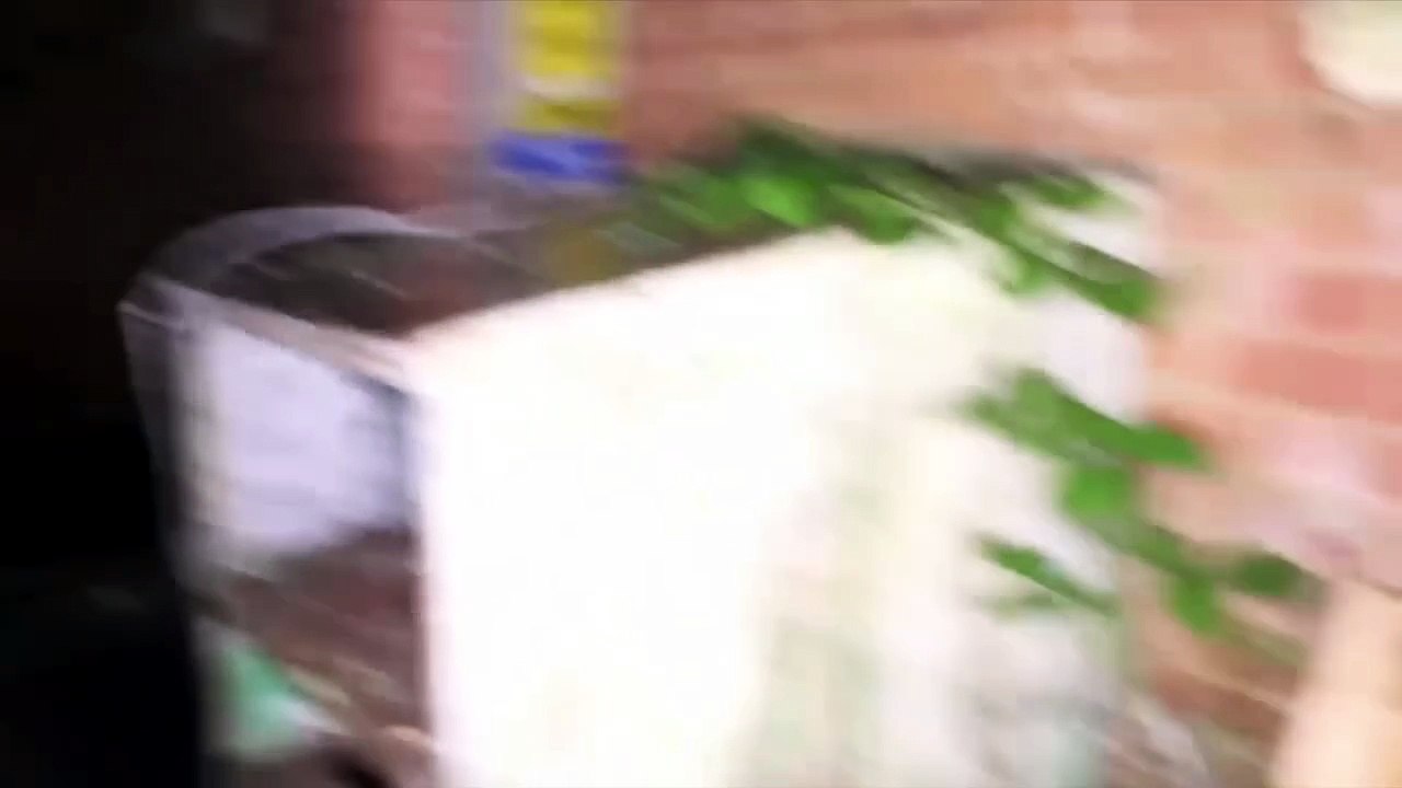 3 Disturbing Urban Explorations Gone Terribly Wrong