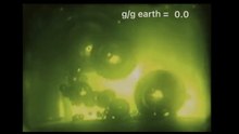 See How Steam Bubbles React When Potatoes Were Fried During A Parabolic Flight