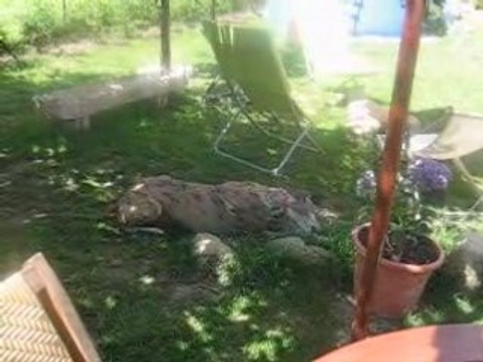 Sun mange une pomme