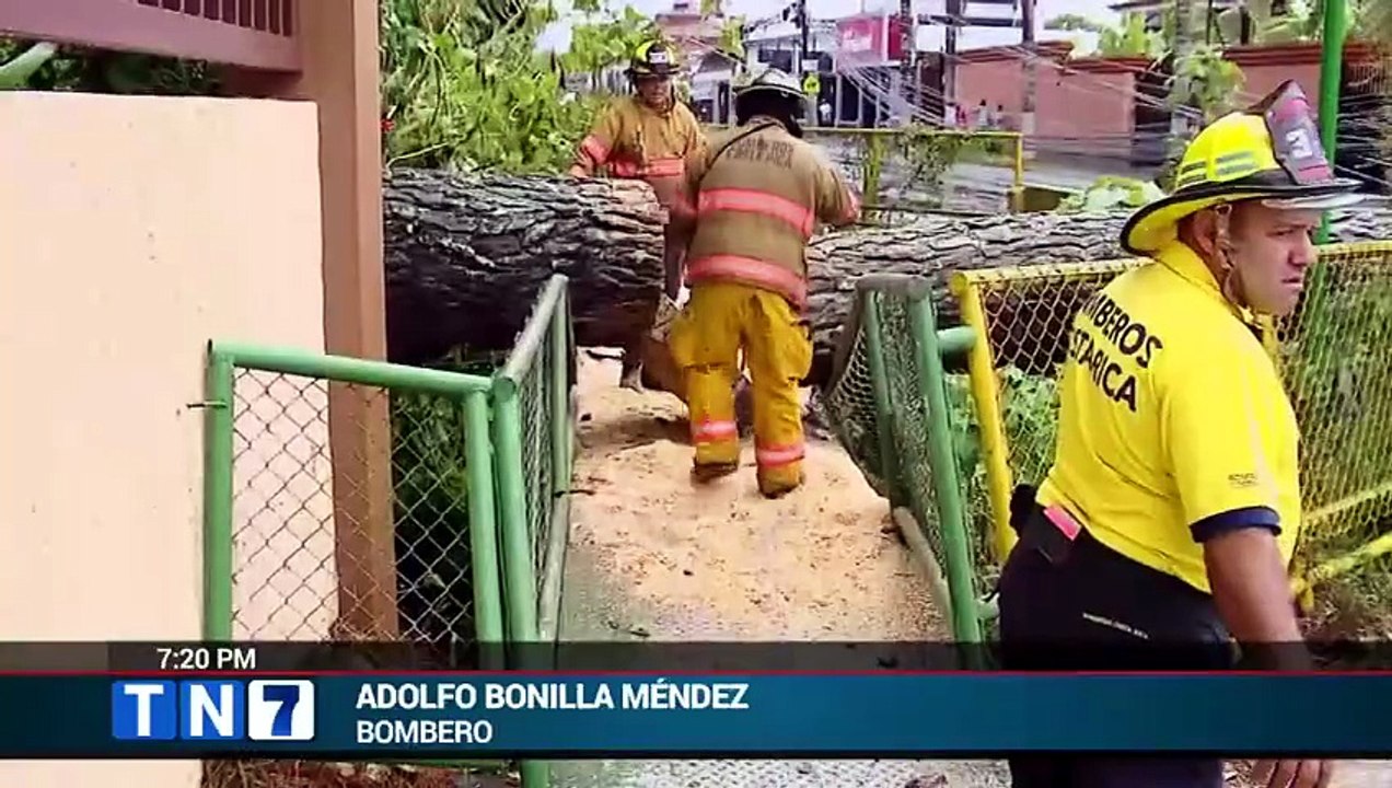 Caida de arbol deja a 3300 vecinos sin electricidad en La Union [Full Movie]
