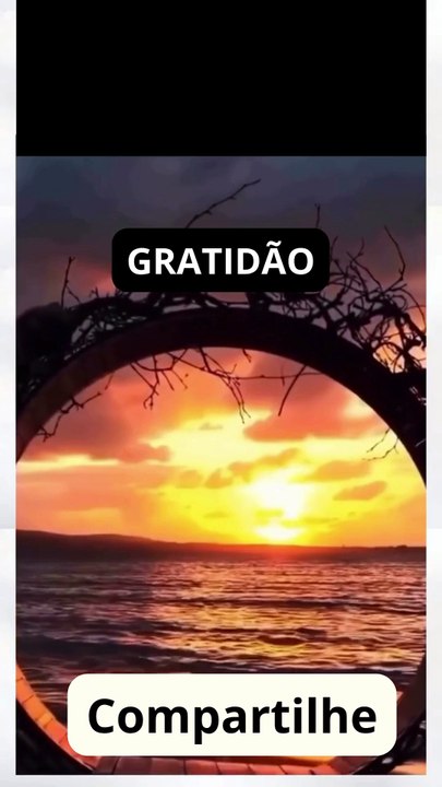 GRATIDÃO | Bom Dia Deus - Fale isso Toda manhã