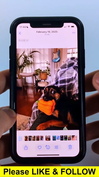 How to Resize Image Without Cropping on iPhone