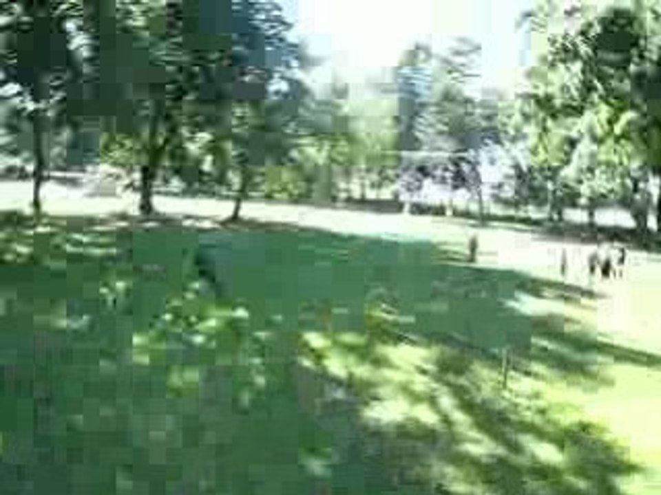 DSCF0675