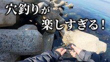 【穴釣り】穴釣りが楽しすぎる！冬でもカサゴが釣れます！