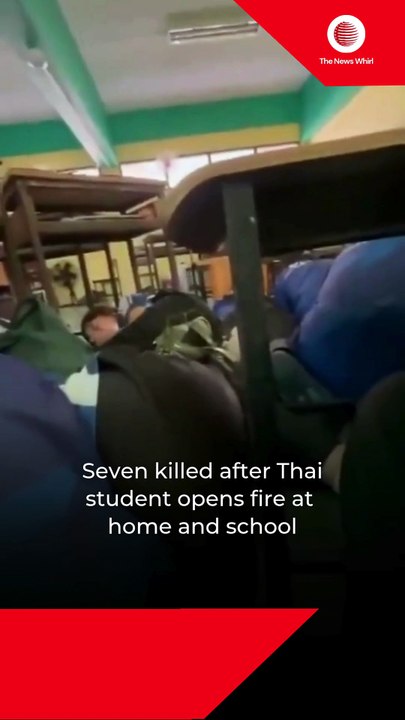 Seven killed after Thai student opens fire at home and school