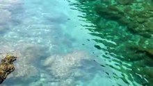 O LUGAR MAIS ÉPICO DAS BERLENGAS! 💎