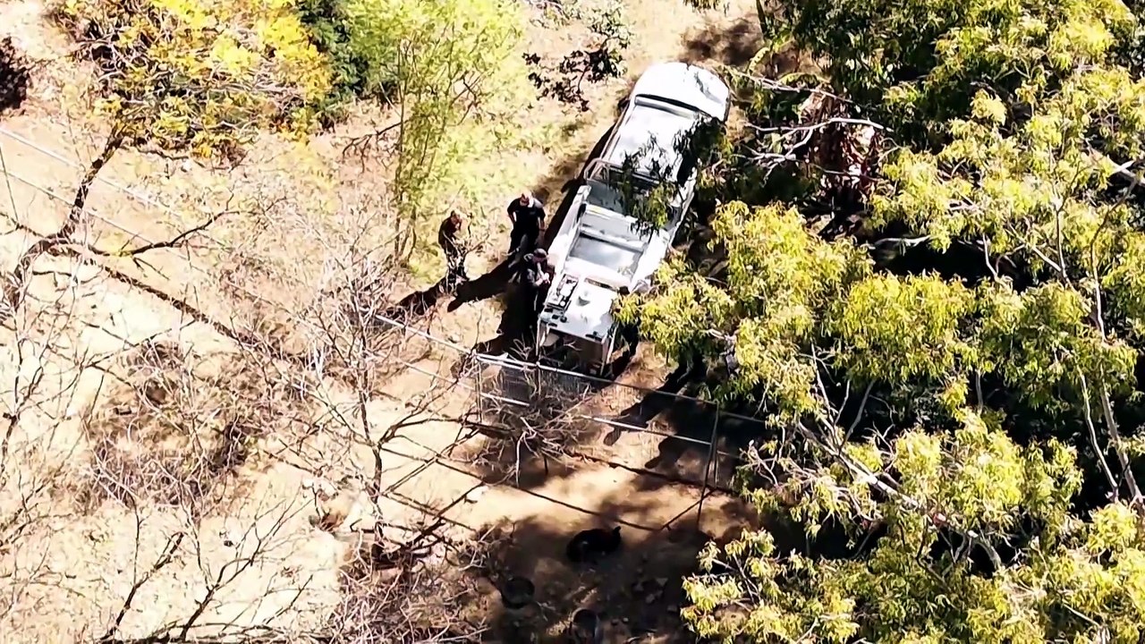 Man killed in suspected dog attack at Eschol Park property may have been an intruder, police say