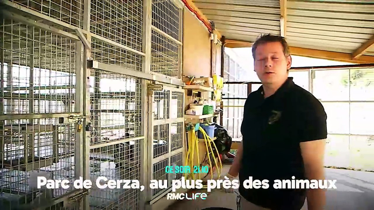 100 jours avec les animaux de Cerza, le plus grand zoo de Normandie
