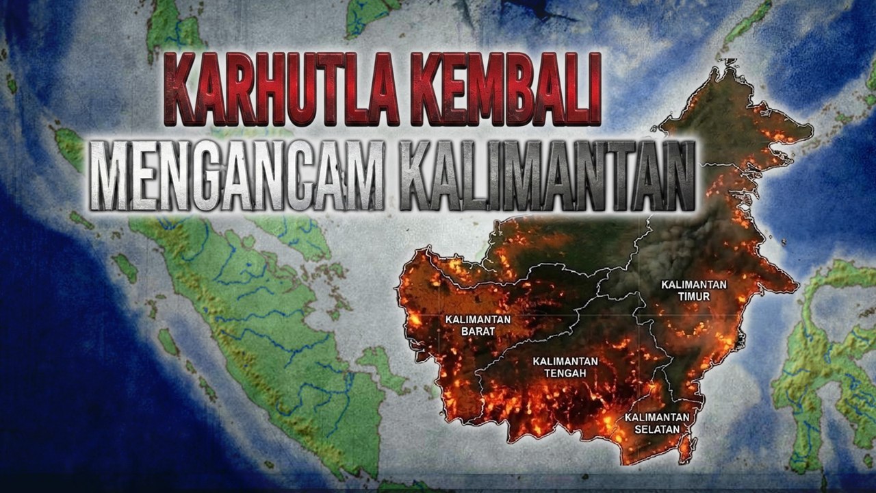 Karhutla Kembali Mengancam Kalimantan, Bagaimana Cara Mencegahnya?