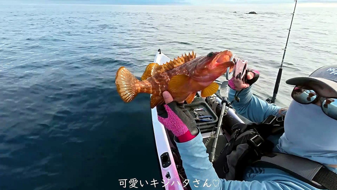【激闘！！】女がカヤックフィッシングをしてみたら突然ヒットした魚との猛烈ファイトに転覆寸前！！│釣り│車中泊│fishing│catch&cook│fishing video│fishing lady