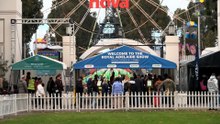 Royal Adelaide Show cancels bird and poultry exhibits amid rising bird flu cases
