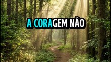 #Determinação #MotivaçãoDiária #SuperaçãoDiária #DesenvolvimentoPessoal #NuncaDesista